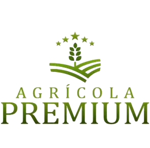 Logo Premium